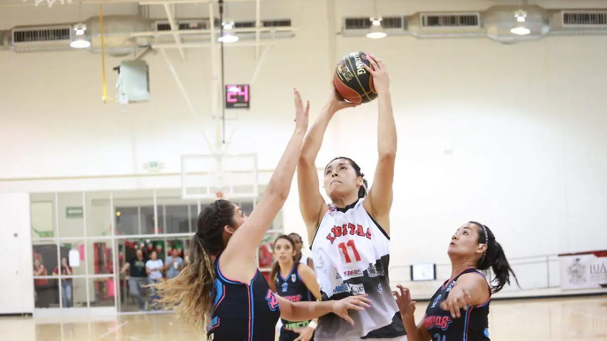 Image 2019-09-21 at 11.41.47 AM