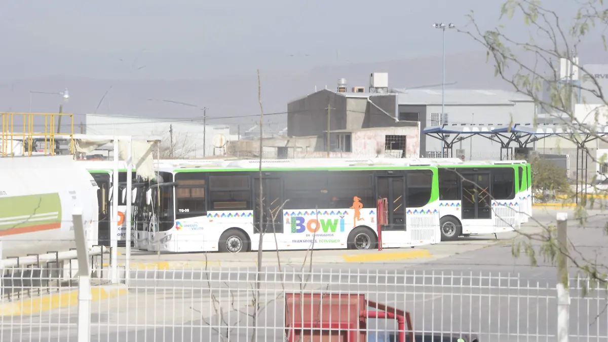 BOWIS en el los patios del vivebus  (1)