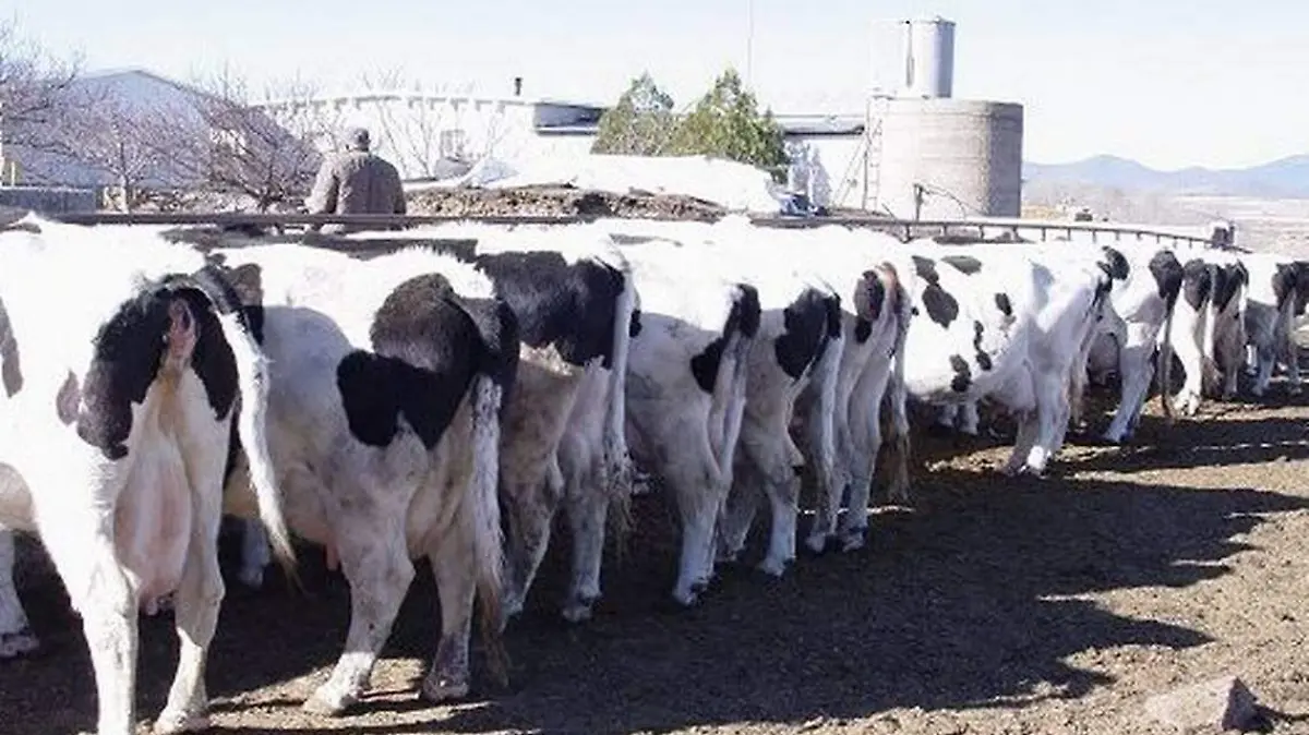 8 abr 2020. Se aborta plan de pagos a 8.20-litro a lecheros