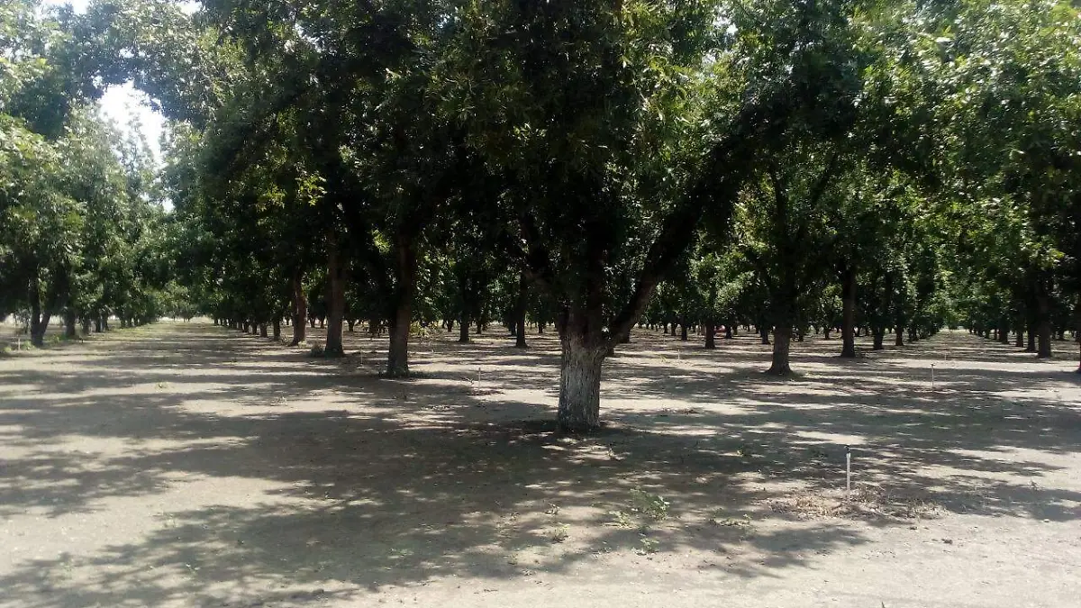 WhatsApp Image 2020-09-27 at 16.54.41