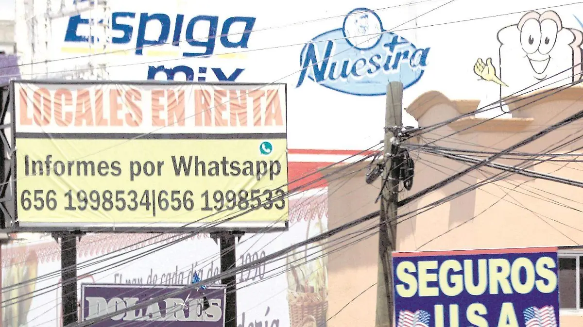 FIN-LT PARO TECNICO 04 (1)