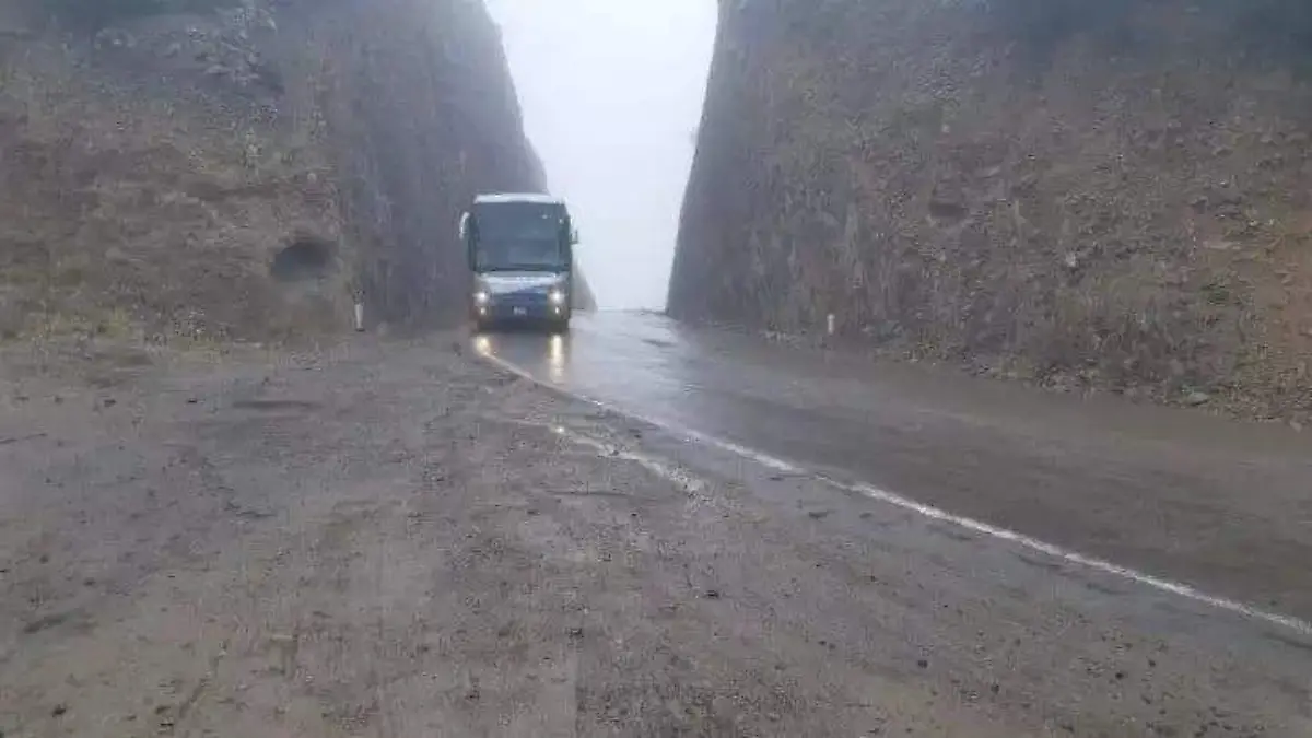 WhatsApp Image 2020-02-11 at 11.47.28 AM