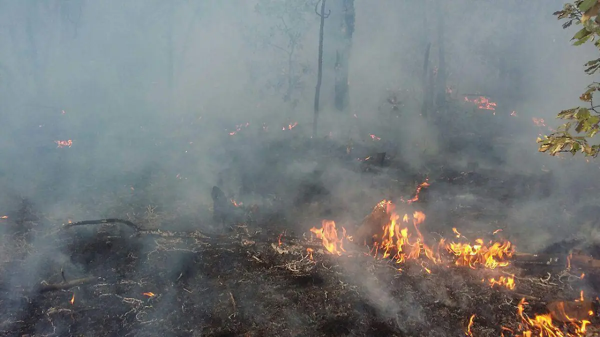 incendio forestal largo maderal (4)