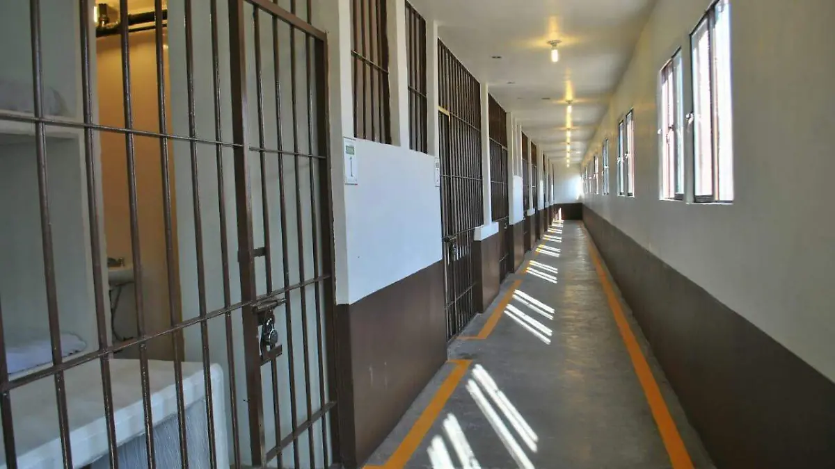 WhatsApp Image 2020-05-23 at 4.40.59 PM