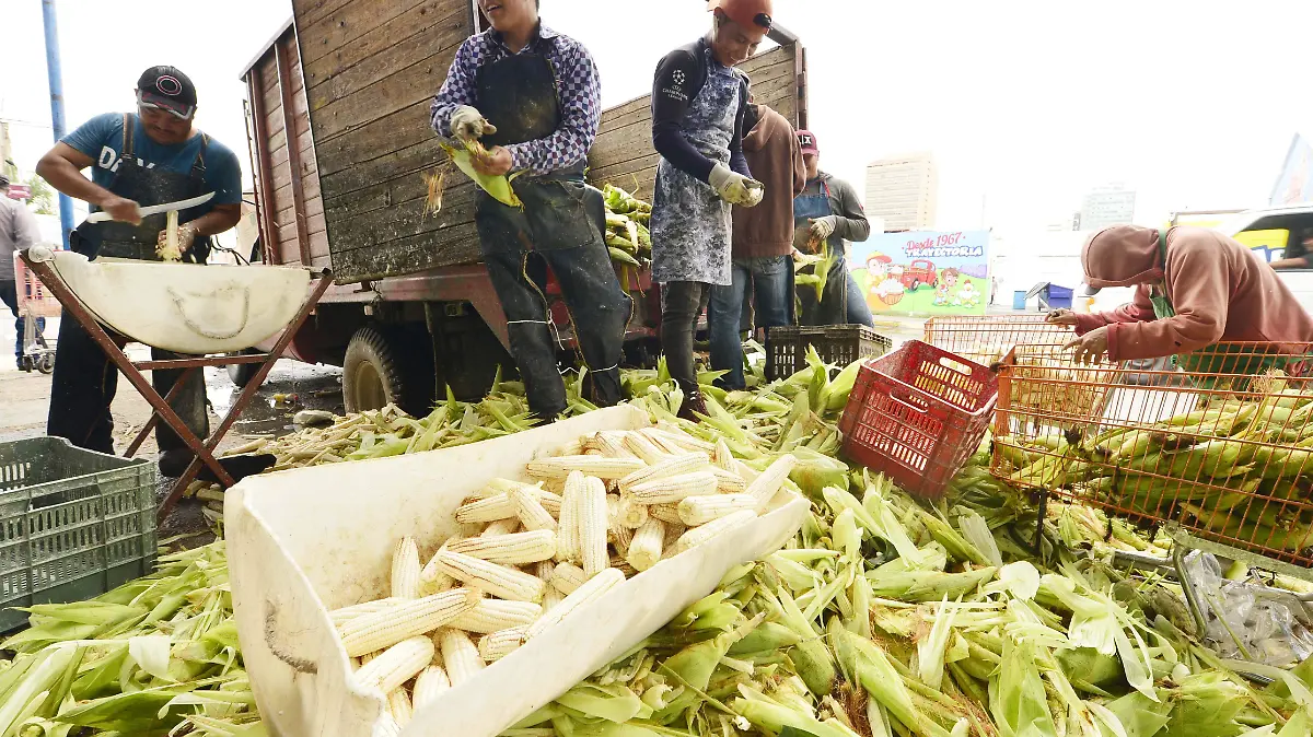 elote produccion  (95)