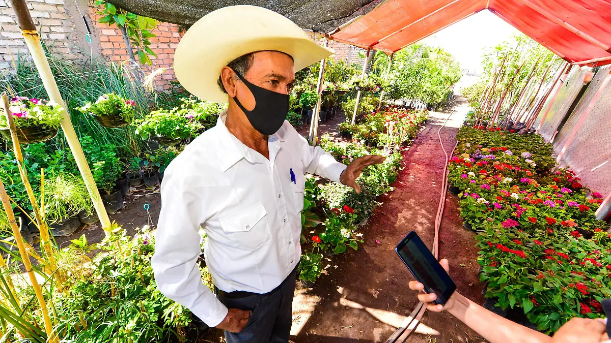 Vivero-vicente-GA (4)