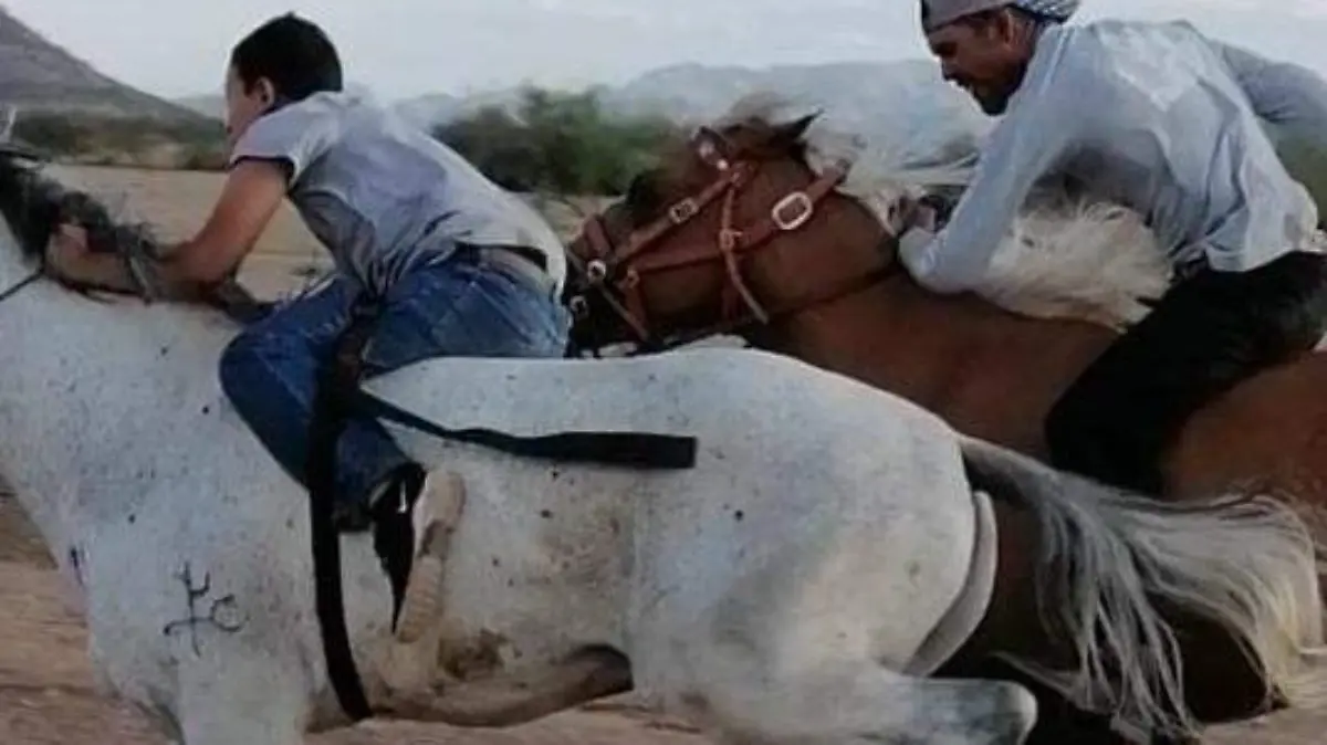 caril y carreras de caballos (8)