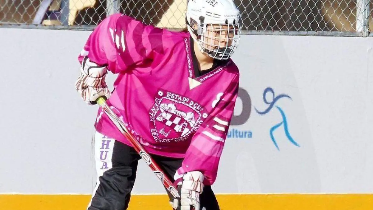 HOCKEY IN LINE-5 colas