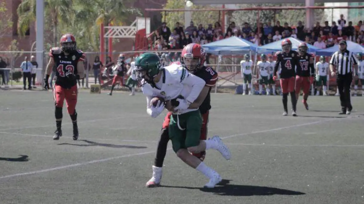 S-uvm torreon-cobach-3 COLAS