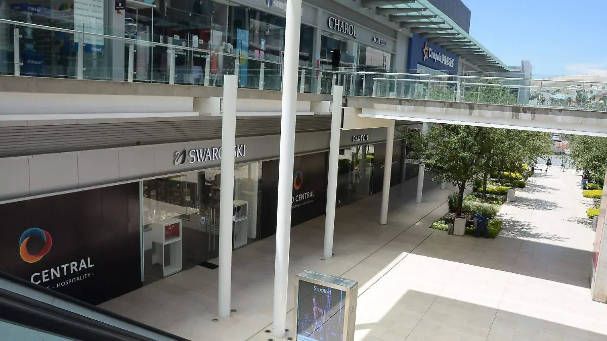 paseo central (2)-DG