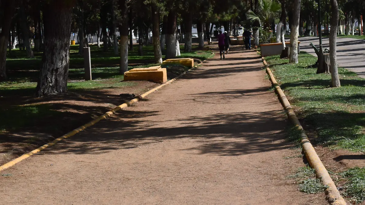 01 pablo REMODELARAN PISTA DE CORREDORES EN LA DEPORTIVA NOTA PALOMA  (1)