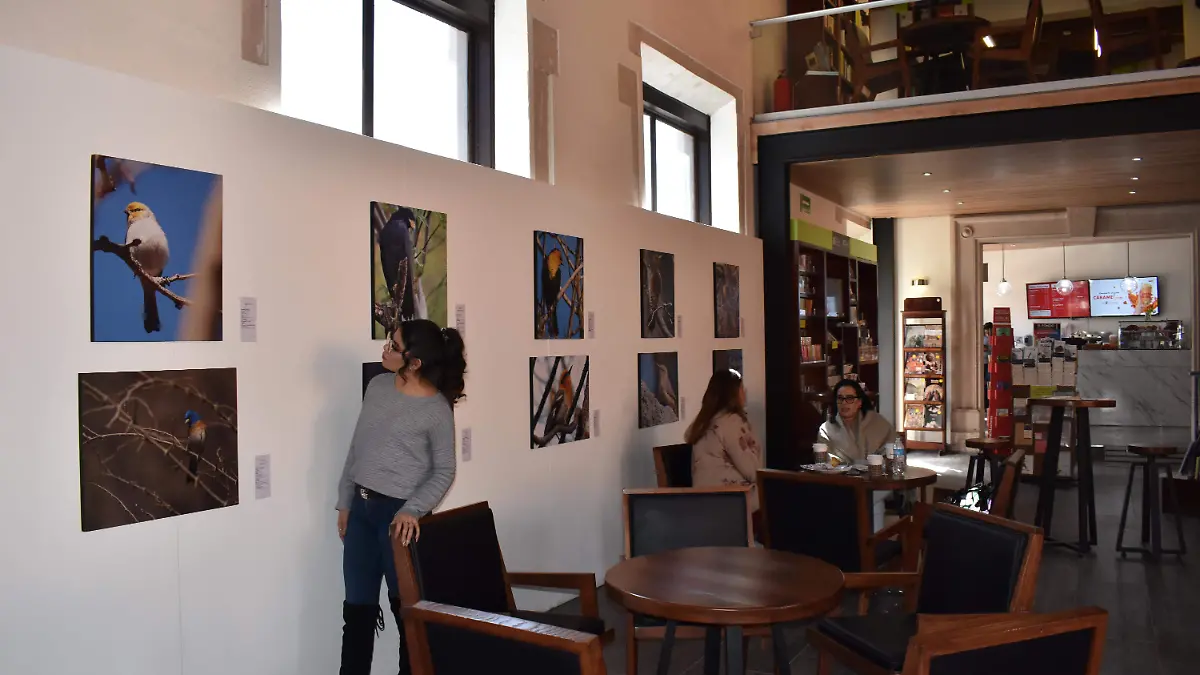 cafebreria