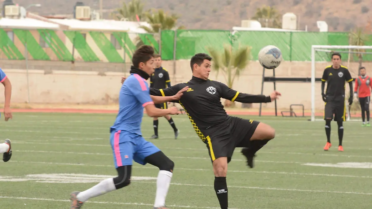 San Fe-4 colas