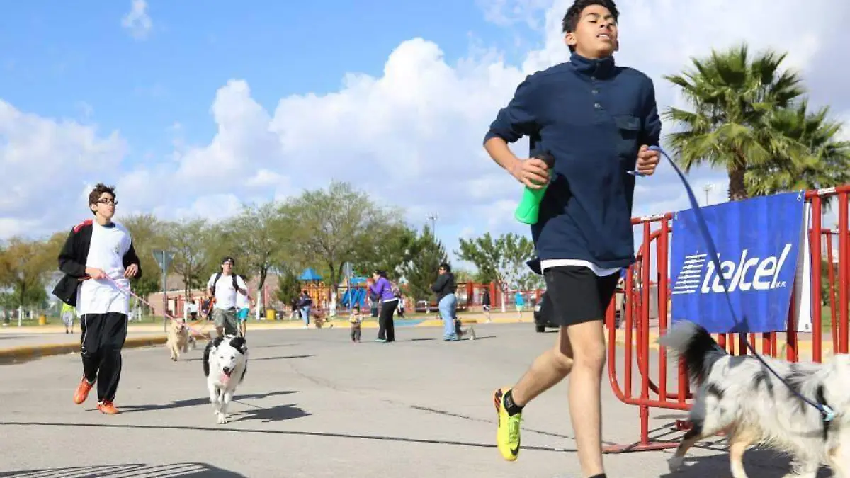 corre con tu perro (2)