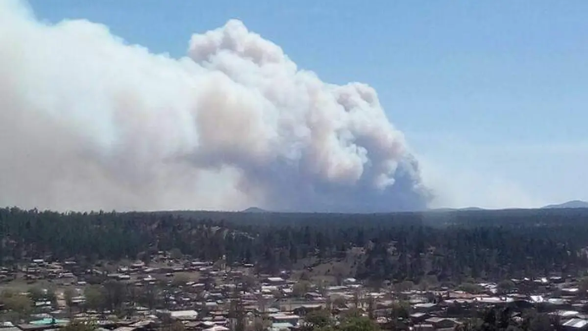 Convocan a los habitantes a combatir el fuego van mas de 5 mil hectareas de bosque consumidas