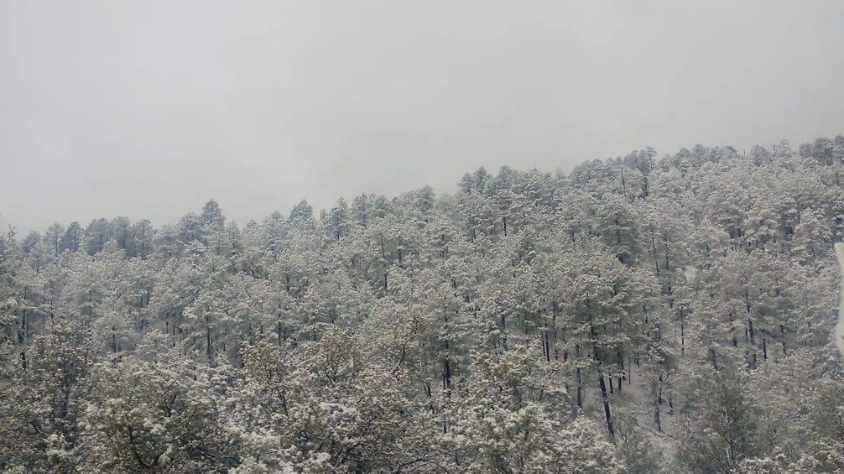 nevada (4)