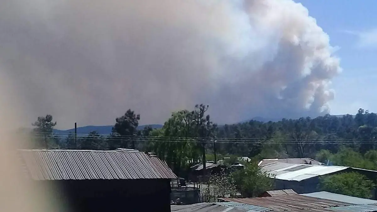 Incendio Ejido el Largo Maderal (9)
