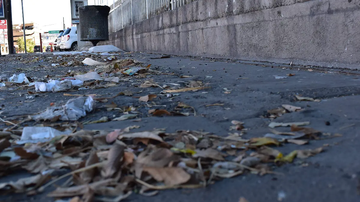 VIENTOS DESTROZAN LONAS Y LLENAN CALLES DE BASURA  (11)