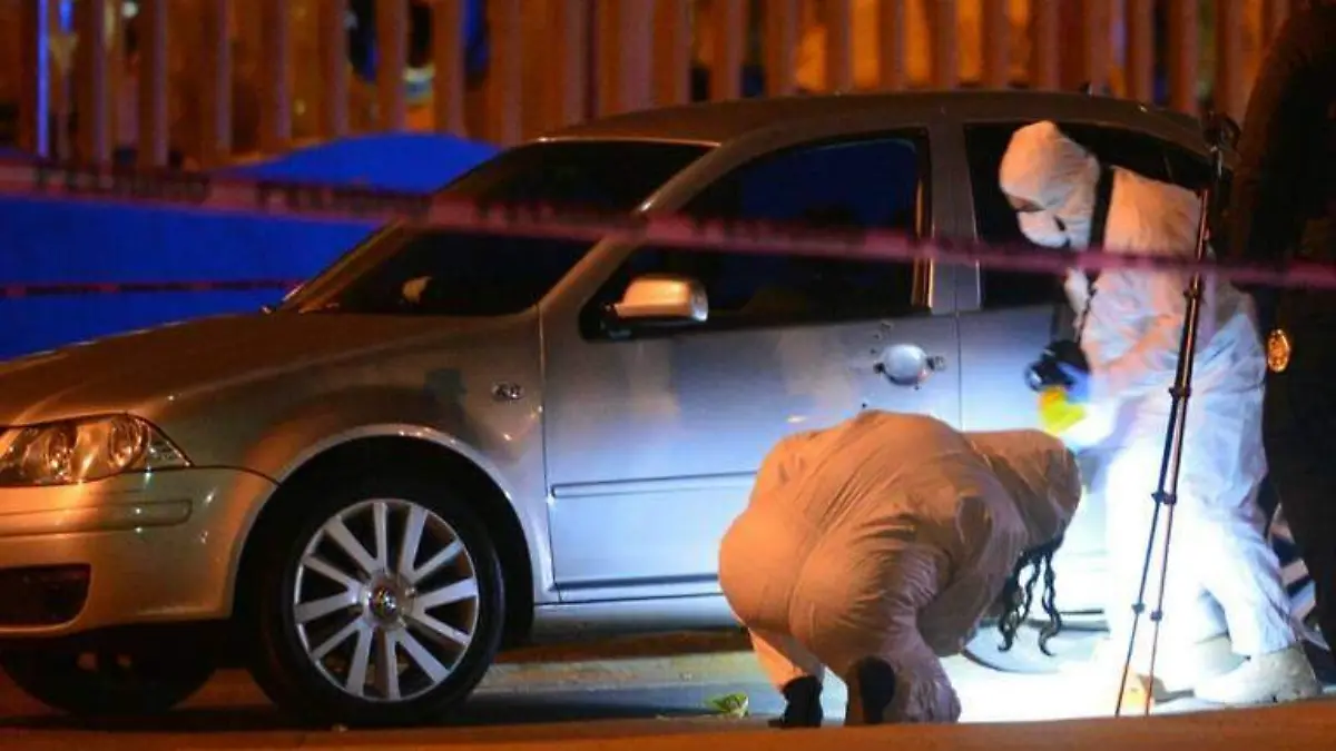 muerto en parque palomar