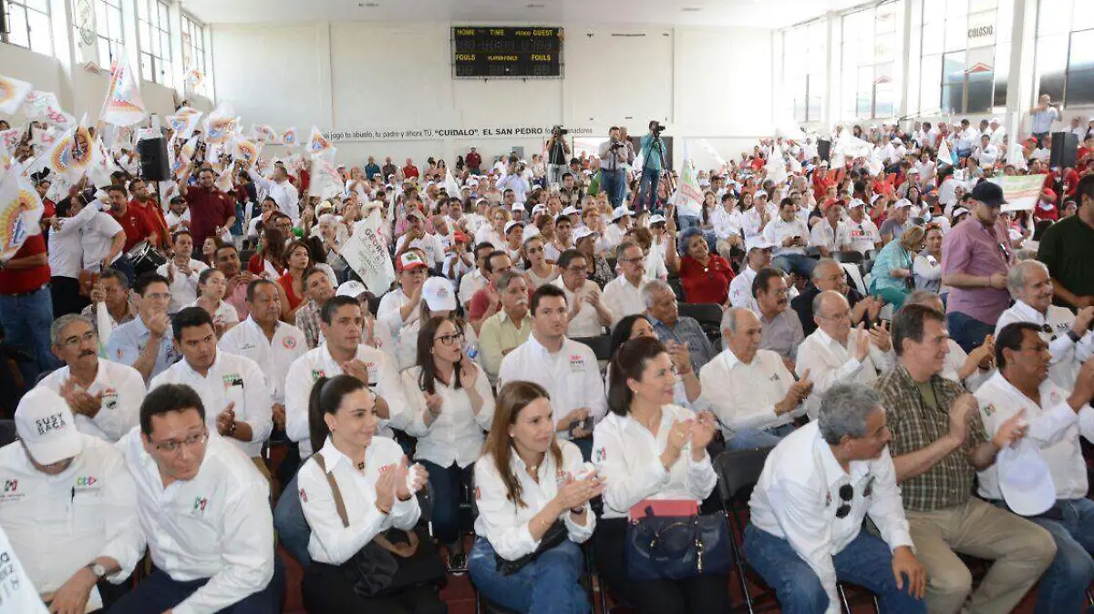 WhatsApp Image 2018-05-26 at 14.18.20