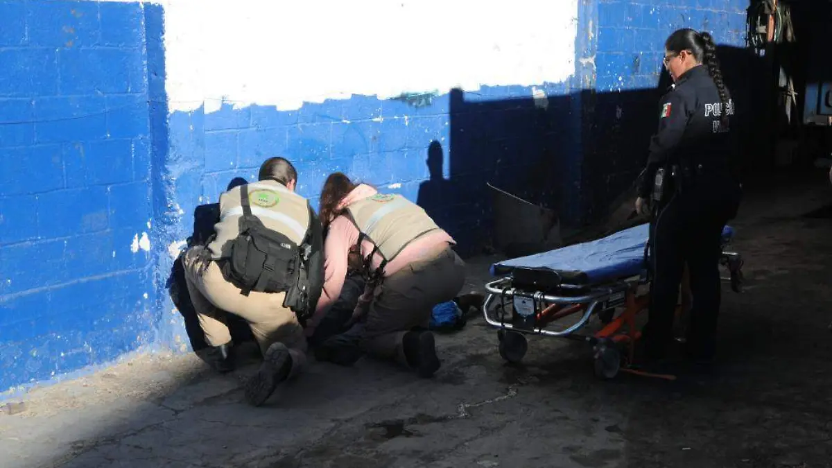 Image 2018-11-15 at 3.55.22 PM