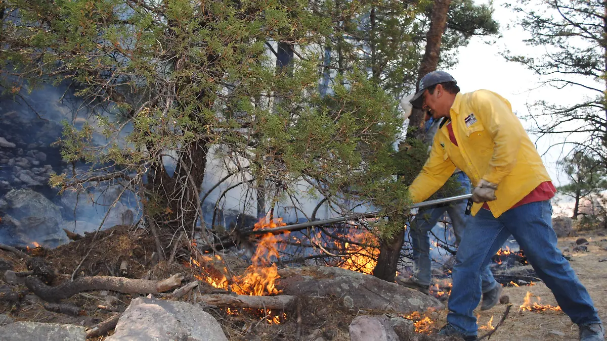 El incendio forestal en Carichi afecta a la actividad herbolaria