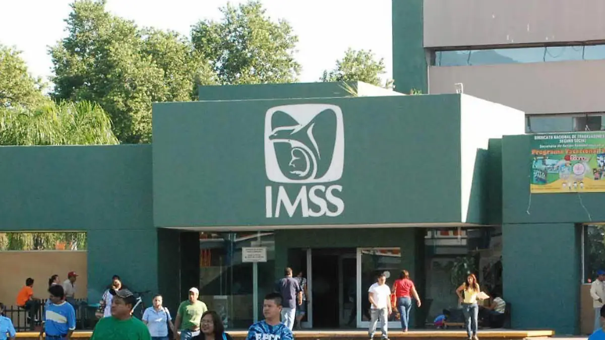IMSS-licitación-simulación-empresas