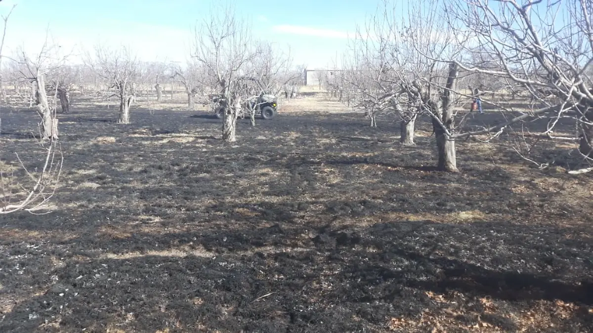 Graves daños por incendios en huertas manzaneras copia