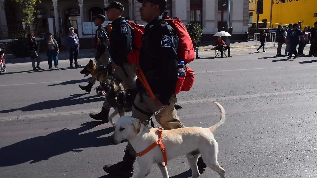 debuta legion juvenil lobos en desfile 20 noviembre 2018 (25)