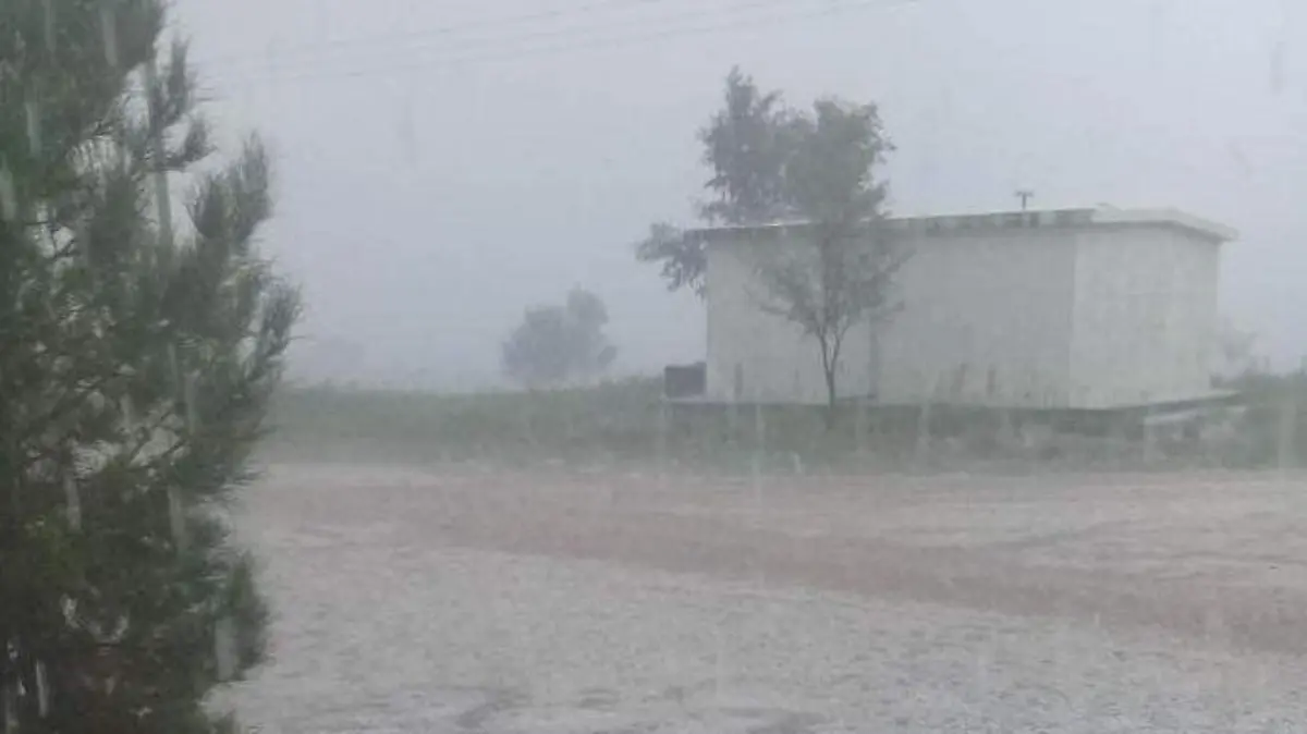 WhatsApp Image 2018-08-24 at 3.55.36 PM