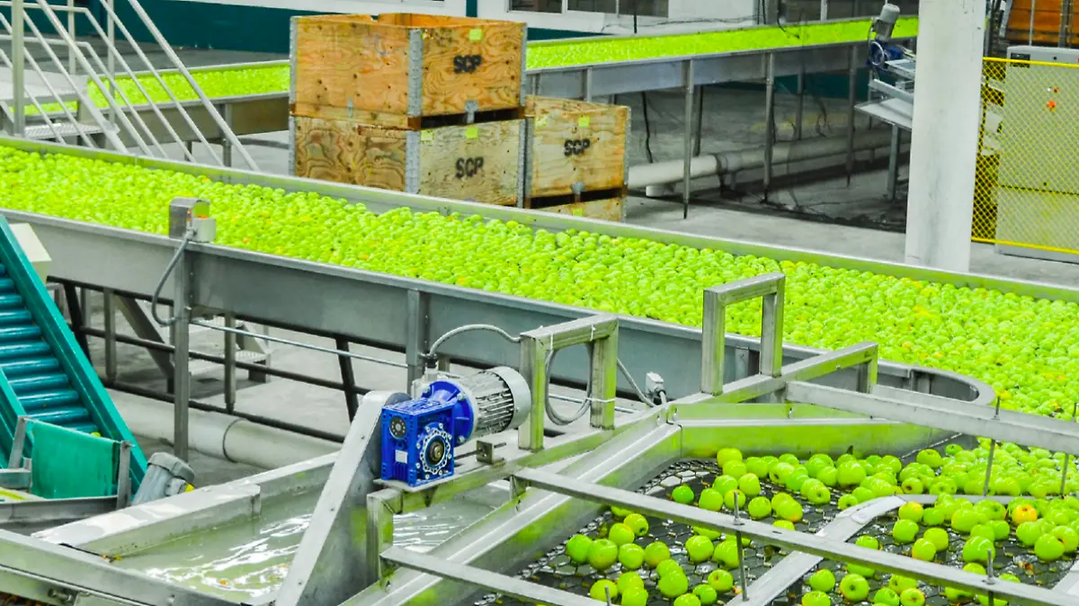 3-Avanza 80 - FOTO LA NORTEÑITA 2