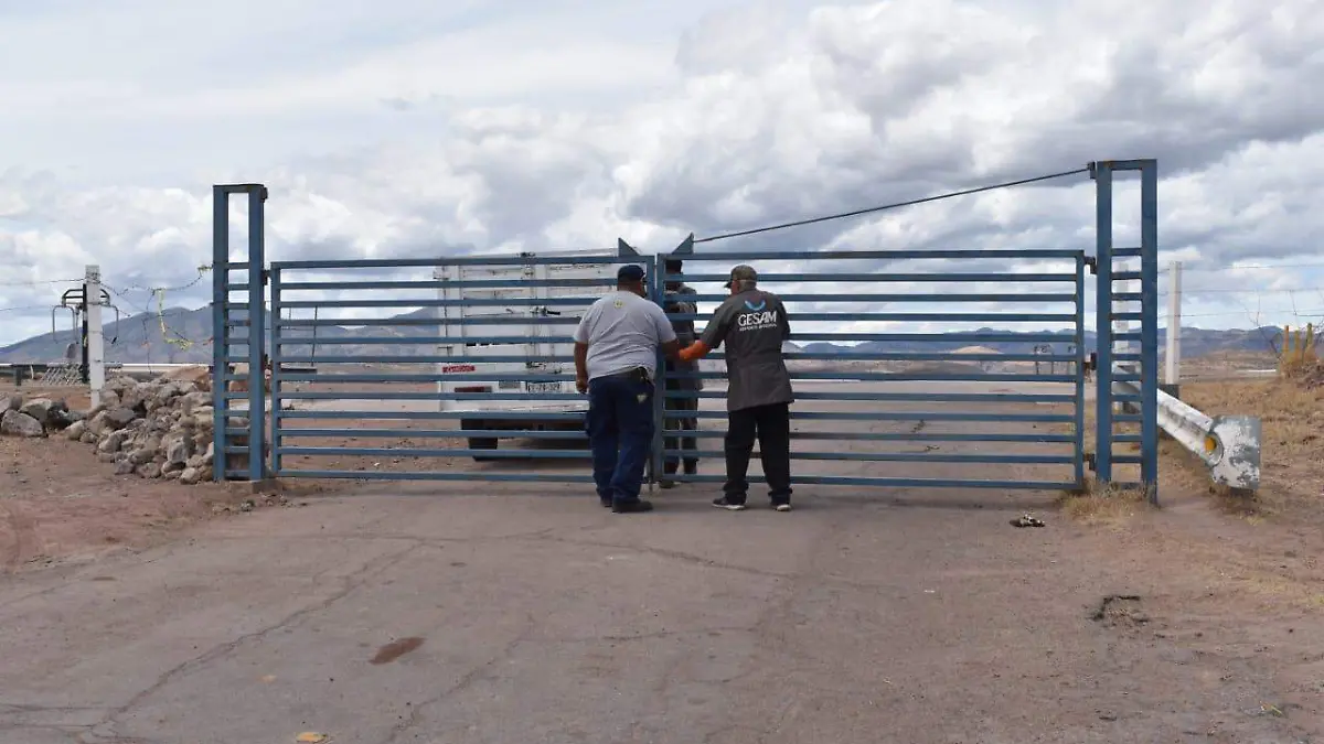 a119121e-0439-4688-babe-515d053053f6