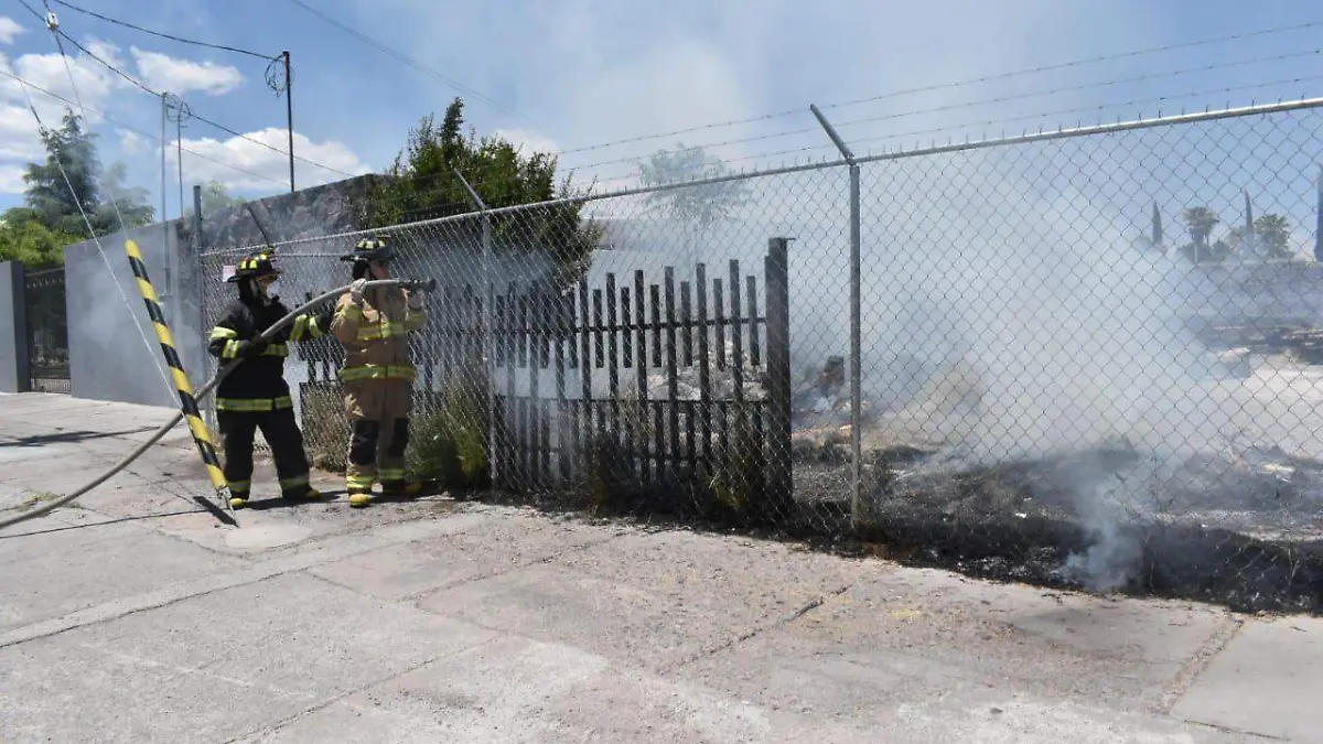 WhatsApp Image 2019-05-15 at 13.03.57