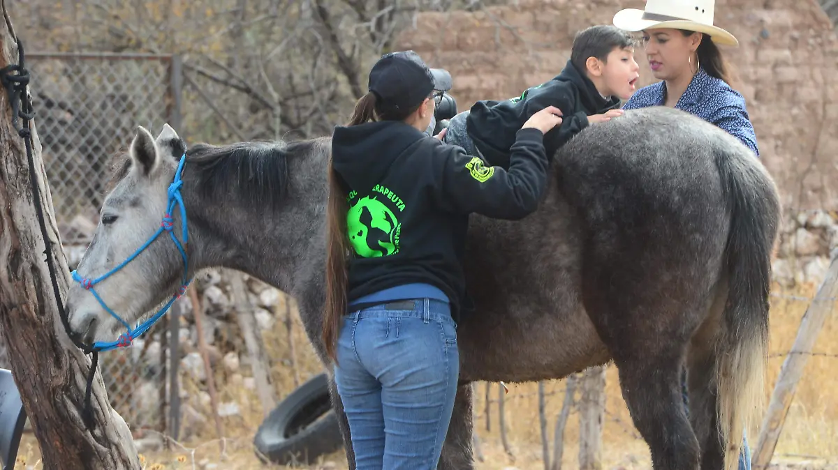centro de desarrollo integral ecuestrato te pazeo (135)