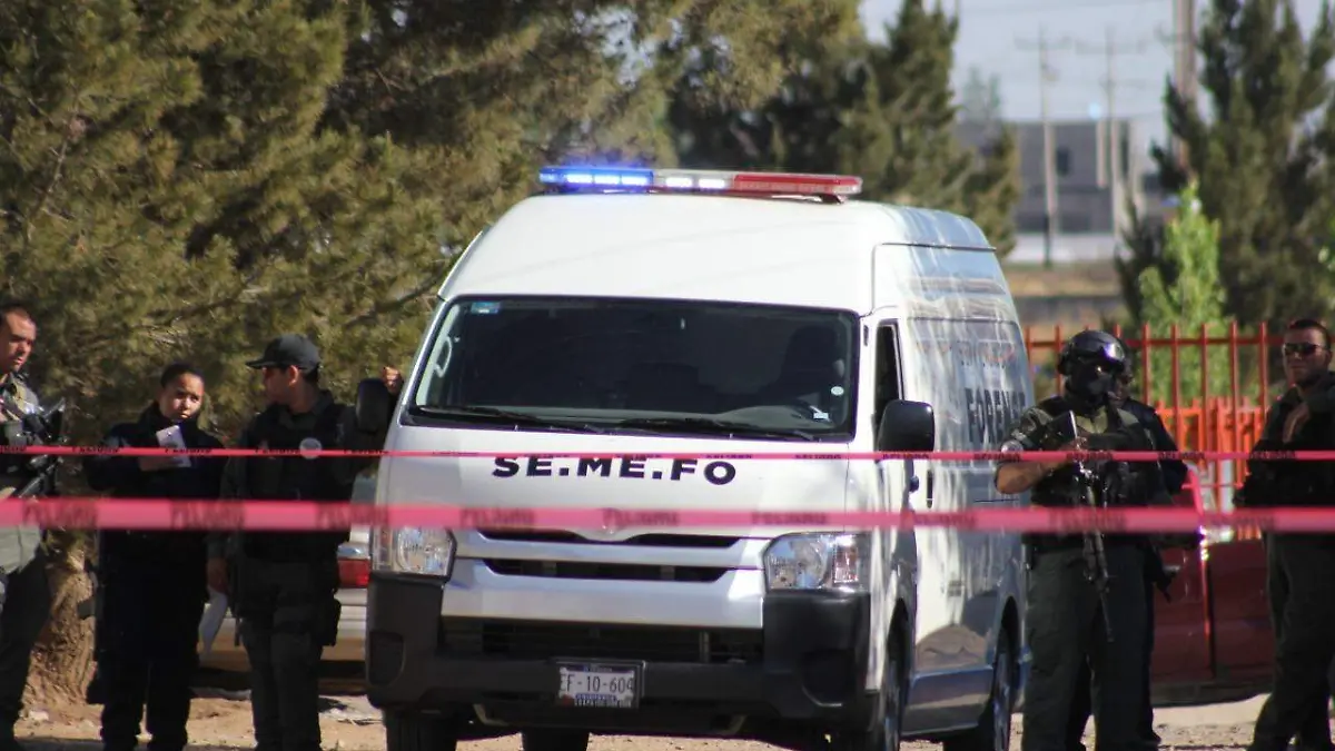 semefo