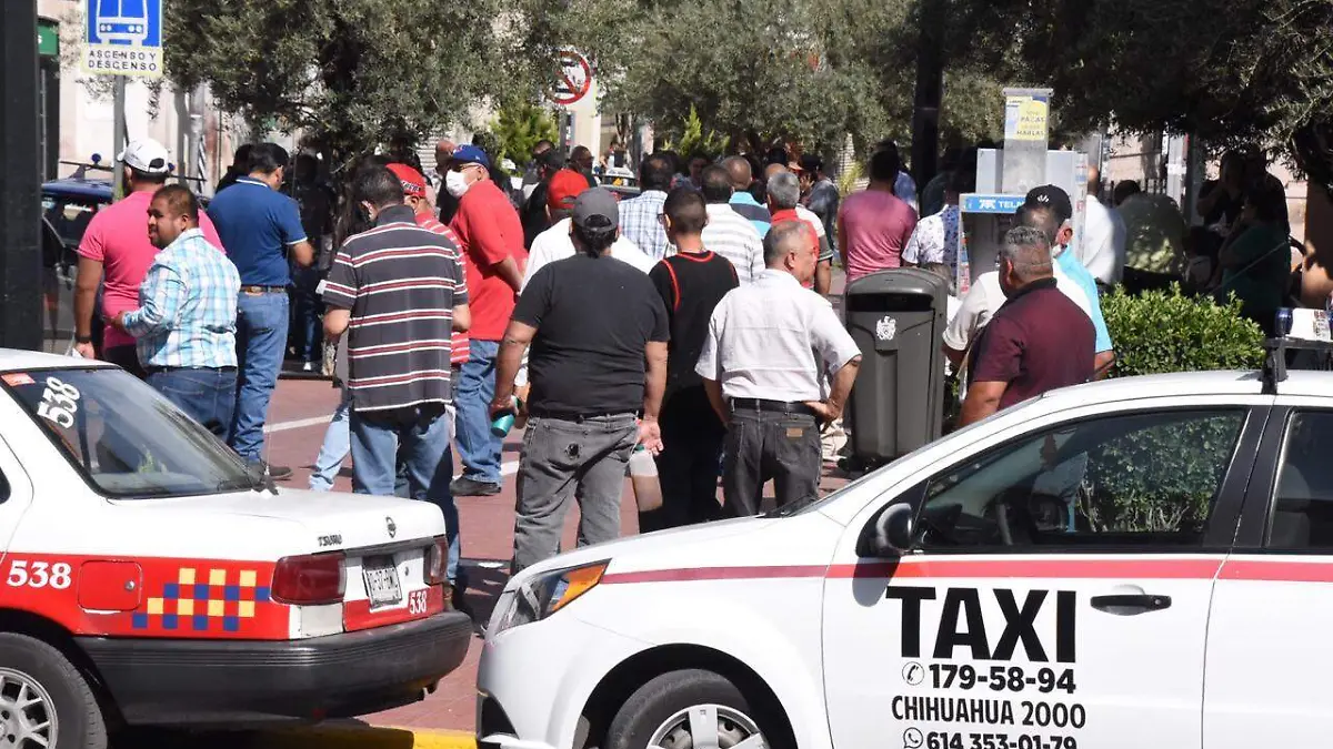 taxistas plaza hidalgo  (3)