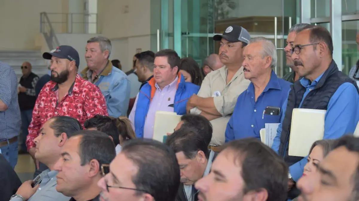 consejo consultivo (2)