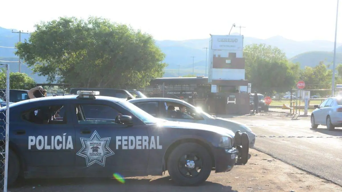 WhatsApp Image 2018-08-31 at 08.00.53