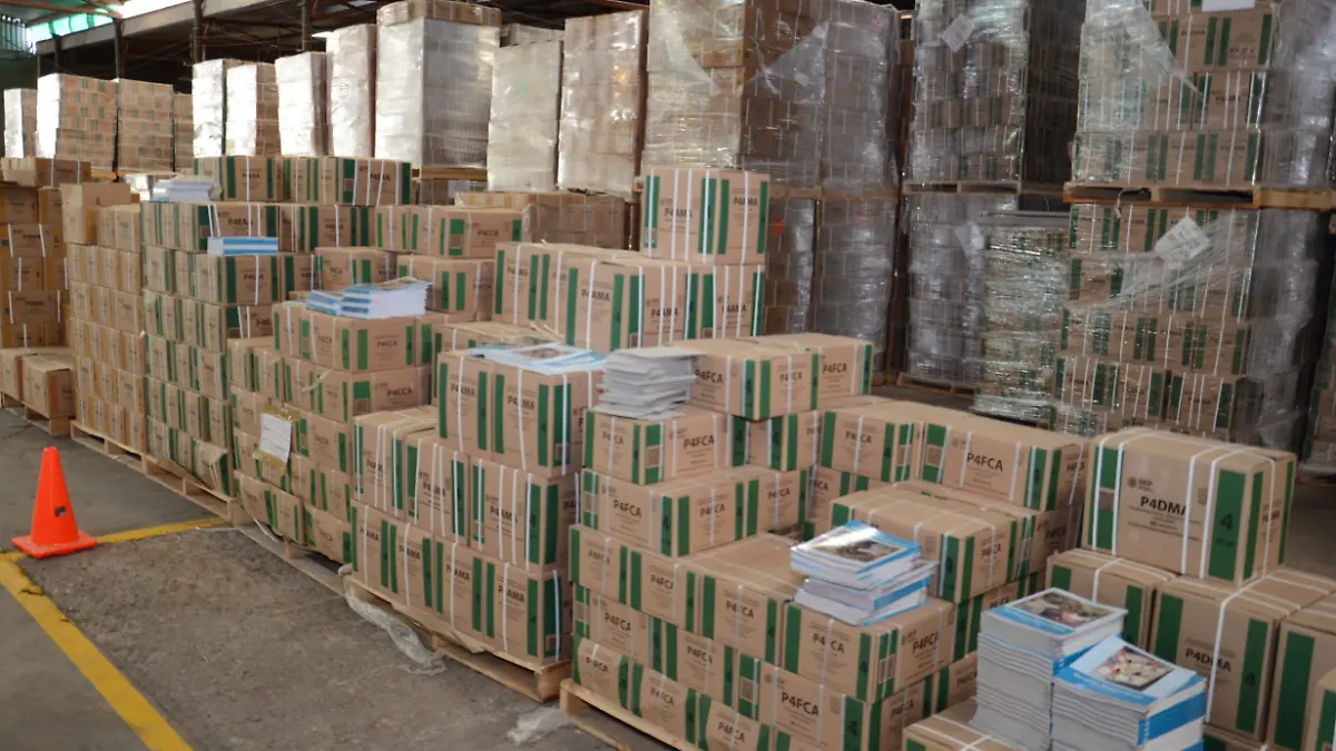 banderazo para la distribucion de libros gratuitos (21)