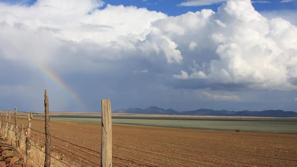 campo-lluvia