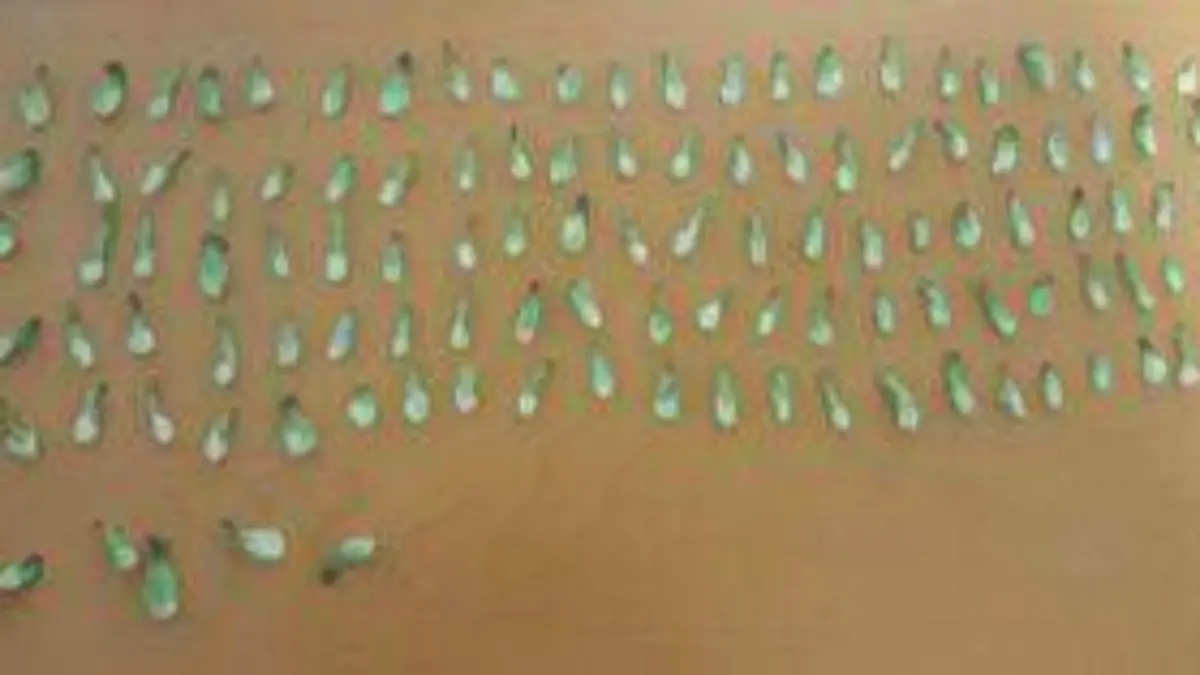 droga-asegurada-jrz-mexicles-01-1-300x157