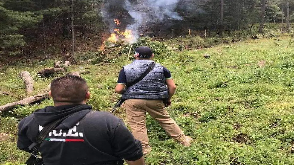 topete nota tres  (5)