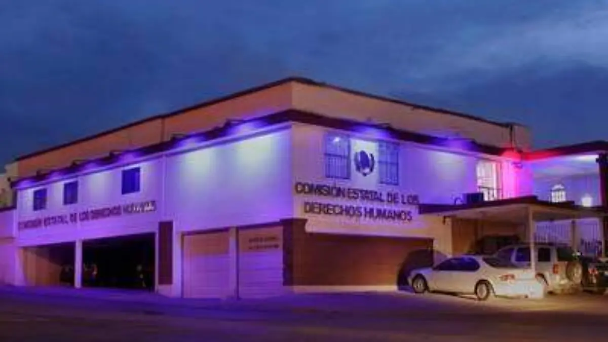 Derechos Humanos morado