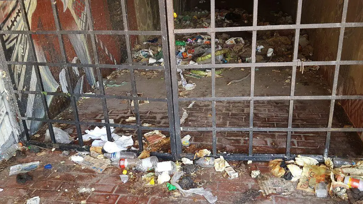 ceb3211e-8f09-4d3f-9dbc-6bfba2884e78