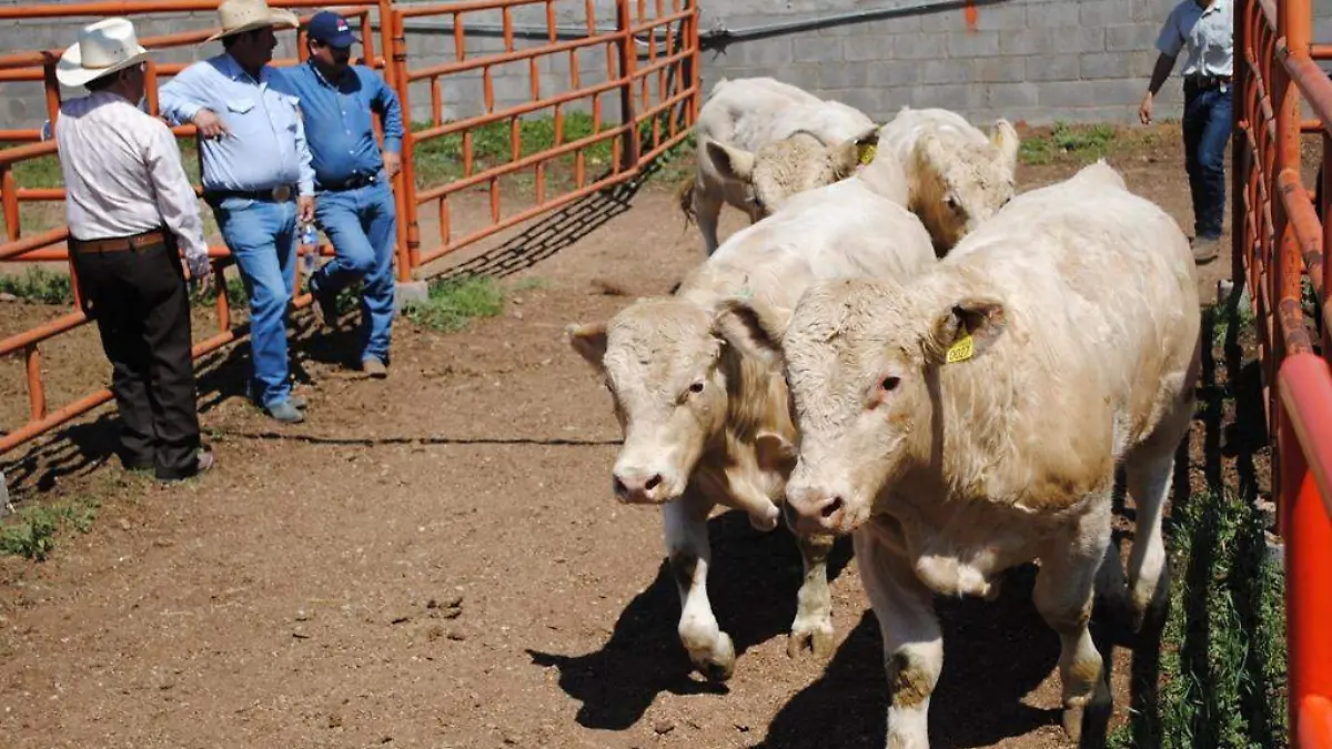 Ante la sequia que se presenta hay exigencia de ganaderos por los apoyos