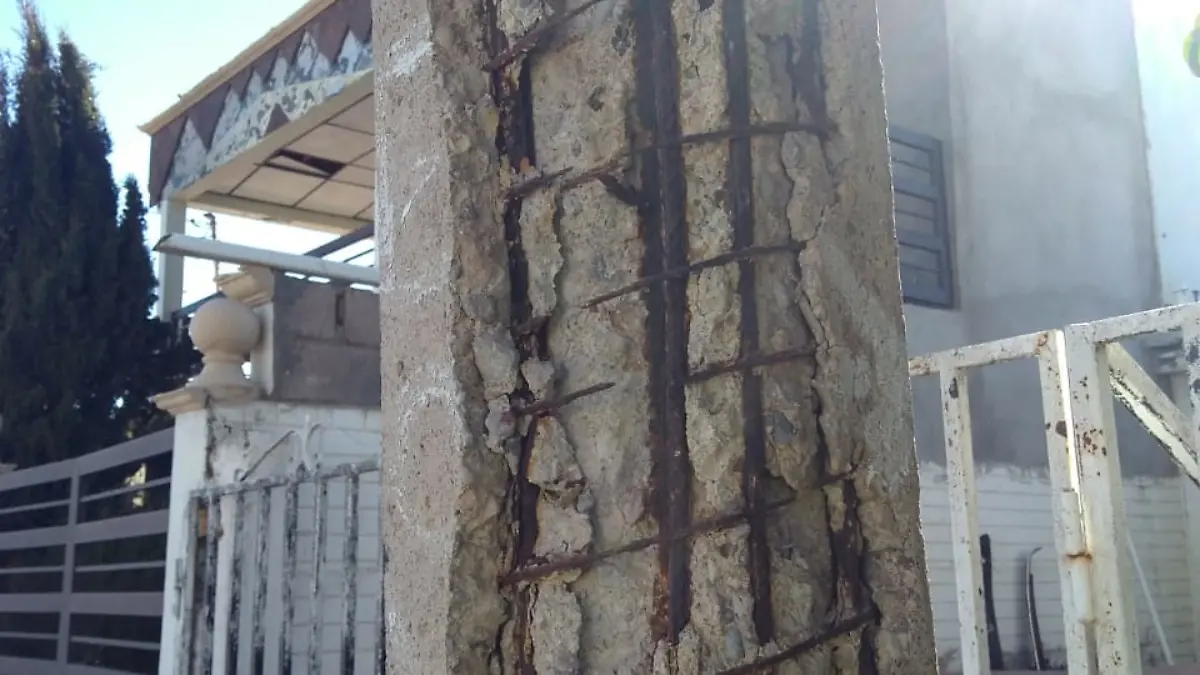 daños por vientos copia