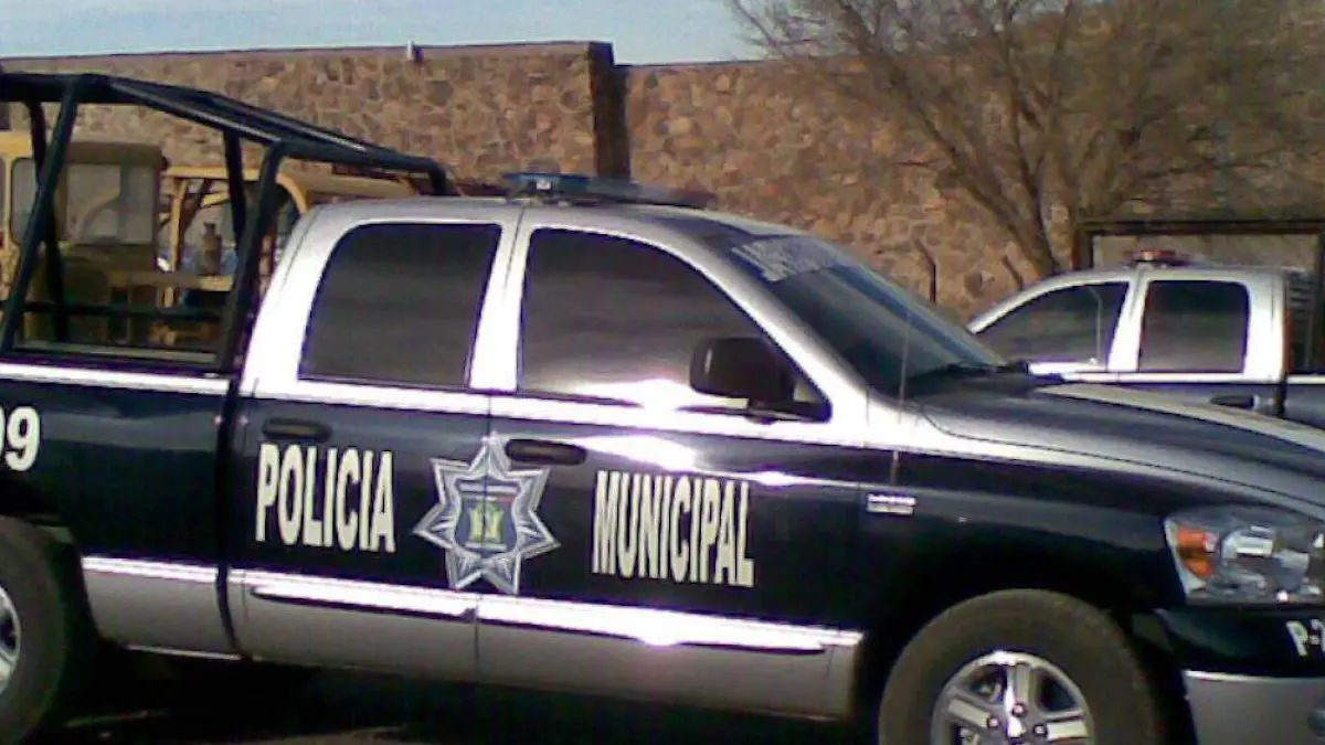 Fueron dados de baja alrededor de 25 personas de diferentes areas de seguridad publica