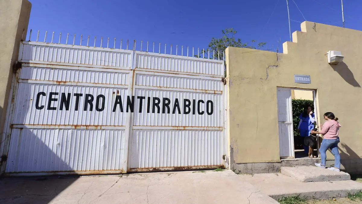 centro antirrabico  (1)