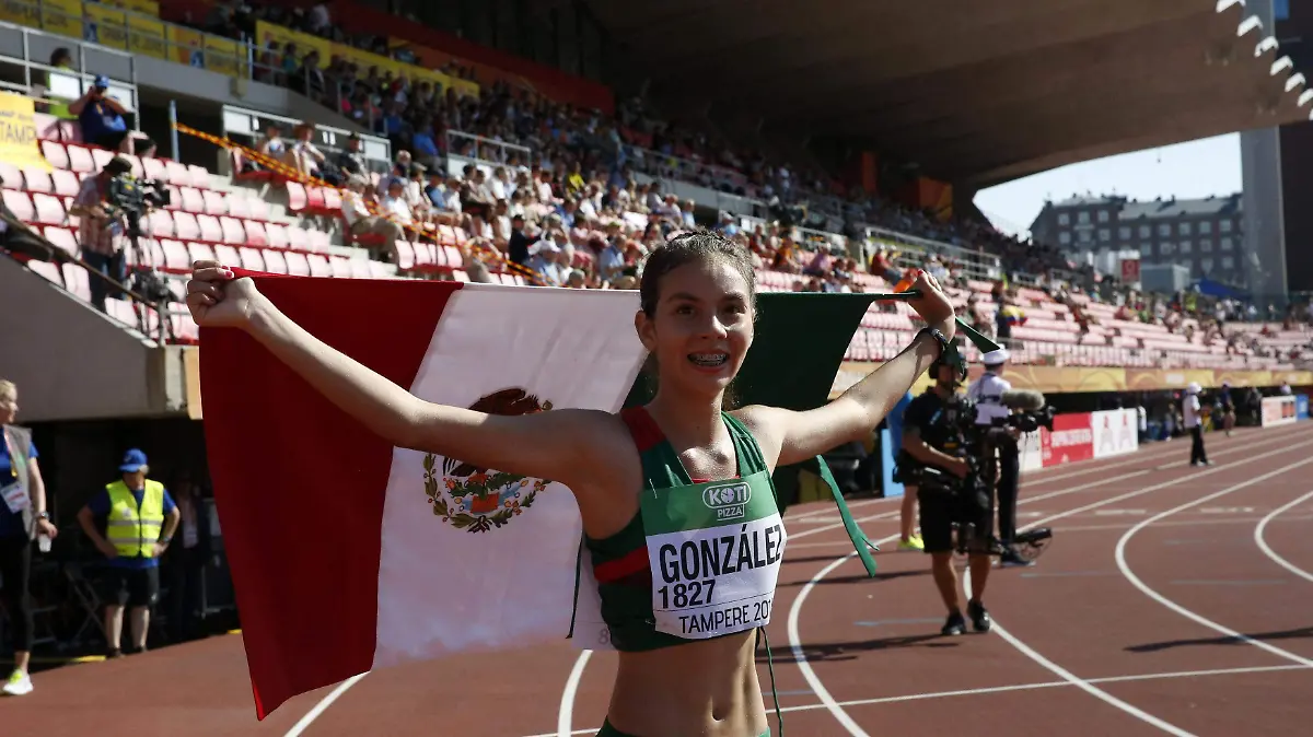 ALEGNA-BANDERA 6cols