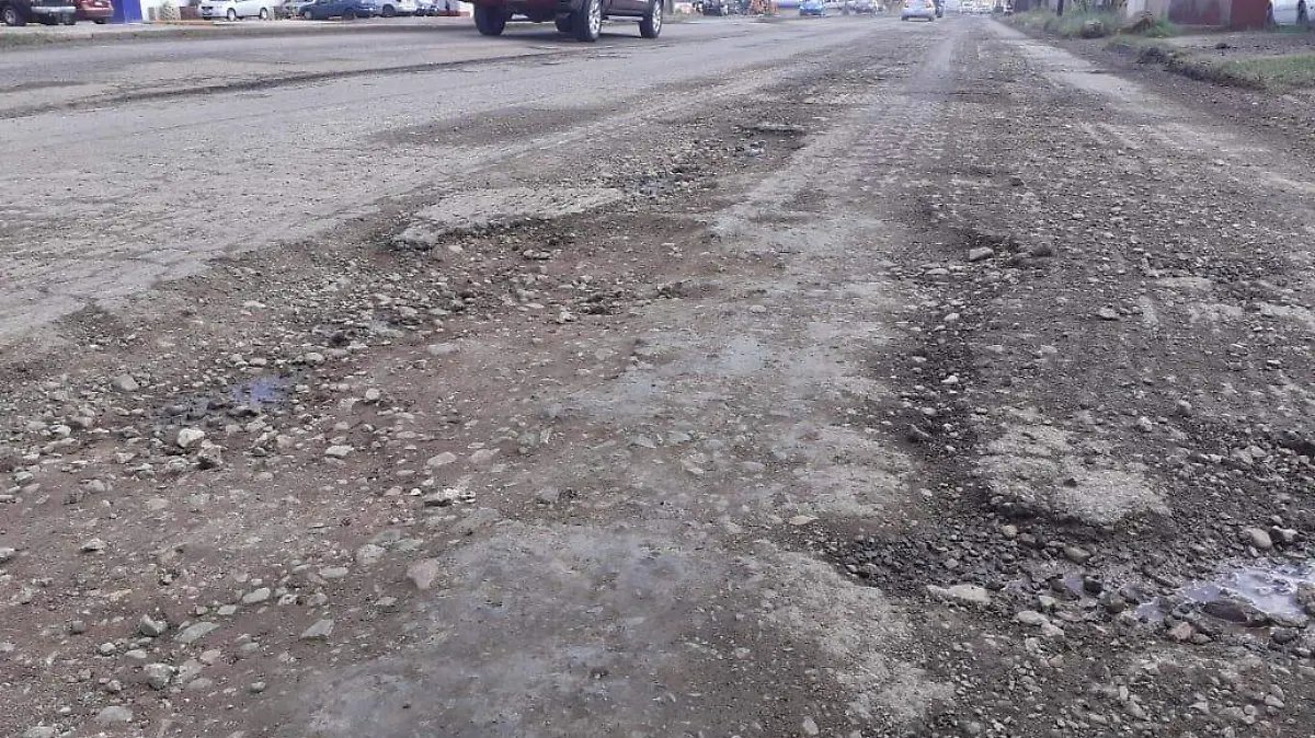 baches (2)
